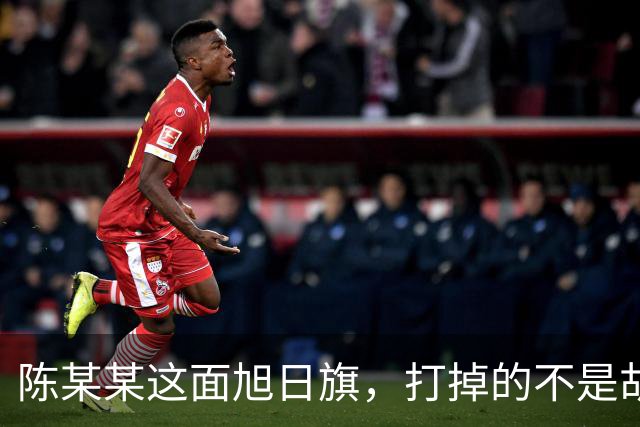 陈某某这面旭日旗，打掉的不是胡锡进的面子，是一层中邪论的滤镜